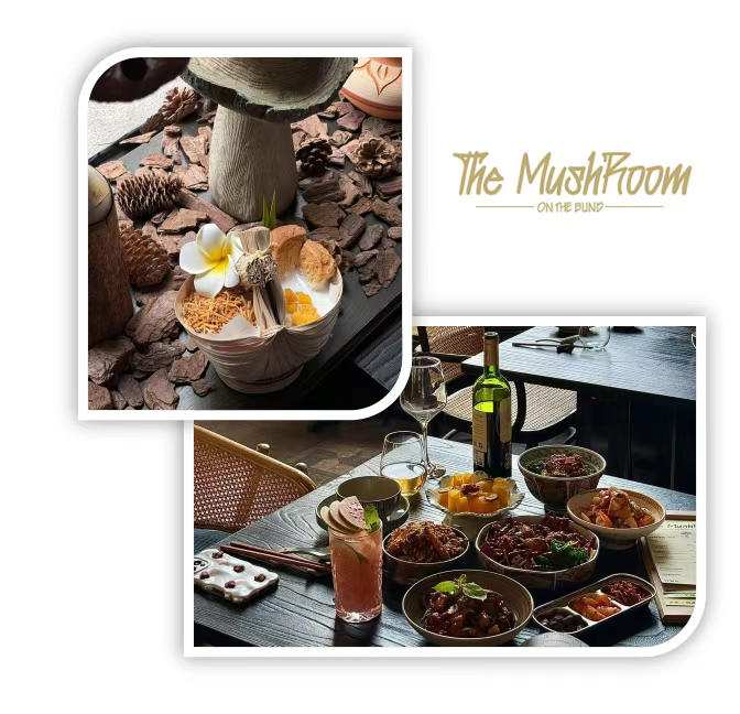 The MushRoom On The Bund