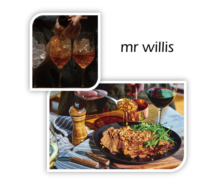 Mr. Willis